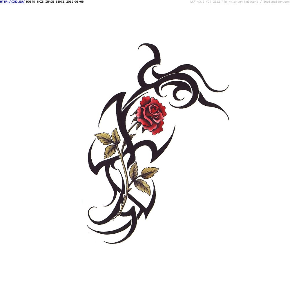 Tattoo Design: rosetribal (in Rose Tattoos)
