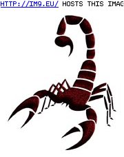 Tattoo Design: scorpion_medlrg_scale (in Misc. Animal Tattoos)