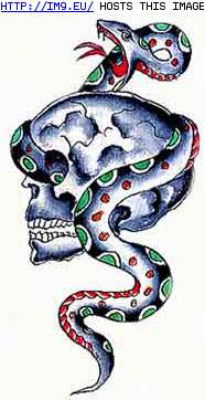 Tattoo Design: skull-snake (in Snake Tattoos)