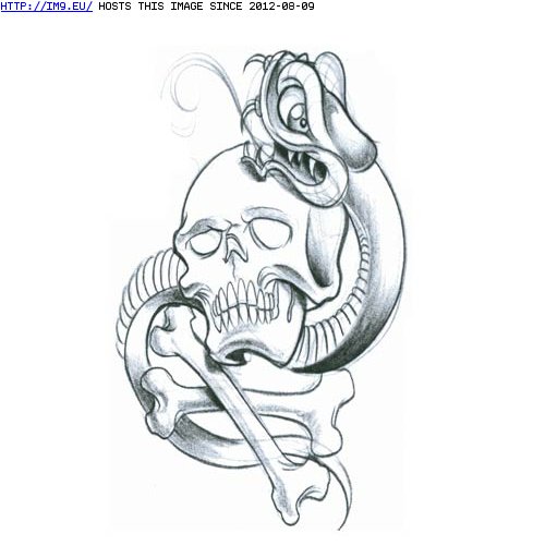 Tattoo Design: snake_with_skull3 (in Snake Tattoos)