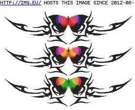 Tattoo Design: SPLB1 (in Butterfly Tattoos)