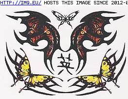 Tattoo Design: SPTP3 (in Butterfly Tattoos)