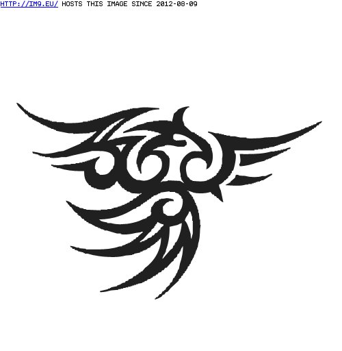 Tattoo Design: sunbird (in Tribal Tattoos)