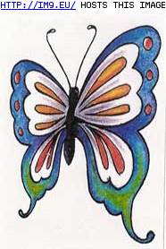 Tattoo Design: SWB13 (in Butterfly Tattoos)