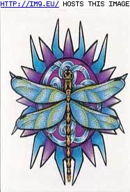 Tattoo Design: SWBD1 (in Insects Tattoos)