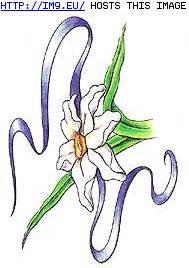 Tattoo Design: SWF4 (in Flower Tattoos)