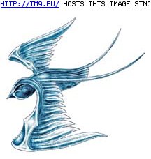 Tattoo Design: swift_swallow_left_scale (in Birds Tattoos)