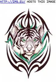 Tattoo Design: T4-white-tiger-tribal (in Tiger Tattoos)