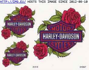 Tattoo Design: T46010-three-rose-shields (in Harley Tattoos)
