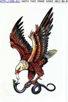 Tattoo Design: ta-eagle-1 (in Eagle Tattoos)