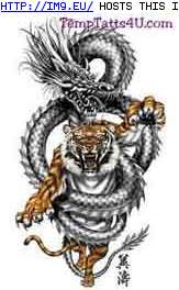 Tattoo Design: tiger-dragon-wrap (in Tiger Tattoos)