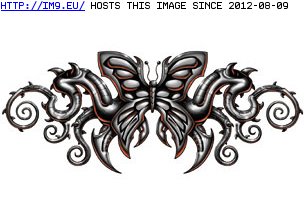 Tattoo Design: tribal_butterfly_8 (in Tribal Tattoos)