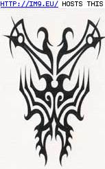 Tattoo Design: tribal9 (in Tribal Tattoos)