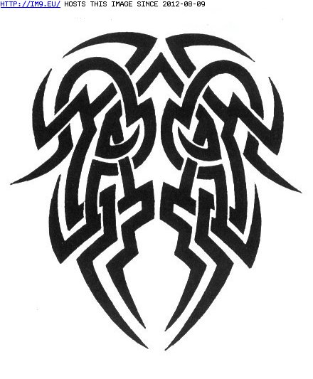 Tattoo Design: tribaltattoo12 (in Tribal Tattoos)