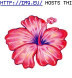 Tattoo Design: TSredhibiscus (in Flower Tattoos)