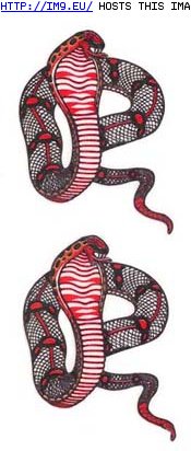 Tattoo Design: two_cobras_striking_tattoo (in Snake Tattoos)