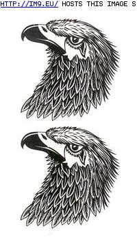 Tattoo Design: two_eagle_bird_heads_tattoos (in Eagle Tattoos)