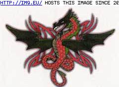 Tattoo Design: VD-blackwings-red-tribal-si (in Dragon Tattoos)