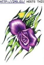 Tattoo Design: VS426 (in Rose Tattoos)