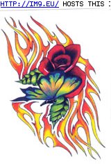 Tattoo Design: VS427 (in Rose Tattoos)