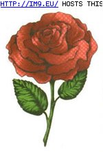 Tattoo Design: VS508 (in Rose Tattoos)