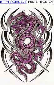 Tattoo Design: VSIBT-purple-tribal-dragon (in Dragon Tattoos)