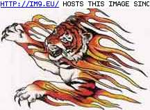 Tattoo Design: VSIFT-flaming-tiger (in Tiger Tattoos)
