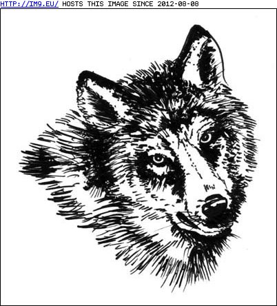 Tattoo Design: wolf-big (in Symbol Tattoos)