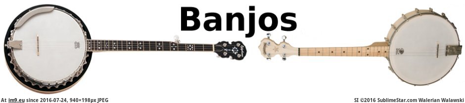 The Banjo Banner (in Roots Music images)
