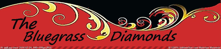 The Bluegrass Diamonds - Banner (in Roots Music images)