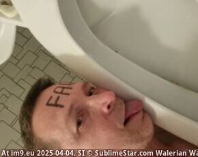 toiletfag (in Me the fag)