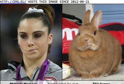 - Totally Looks Like: Mckayla Maroney Totally Looks Like This Bunny (in LOLCats, LOLDogs and cute animals)