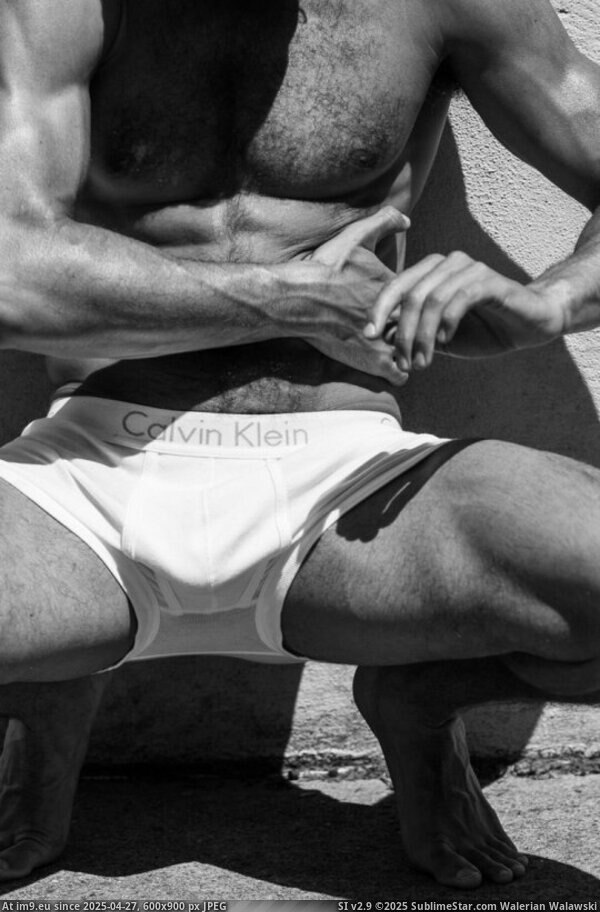 #Porn #Hot #Xxx #Muscle #Manly #Gayporn #Homo #Bigdick Tumblr 540px Pic. (Image of album gay - general))