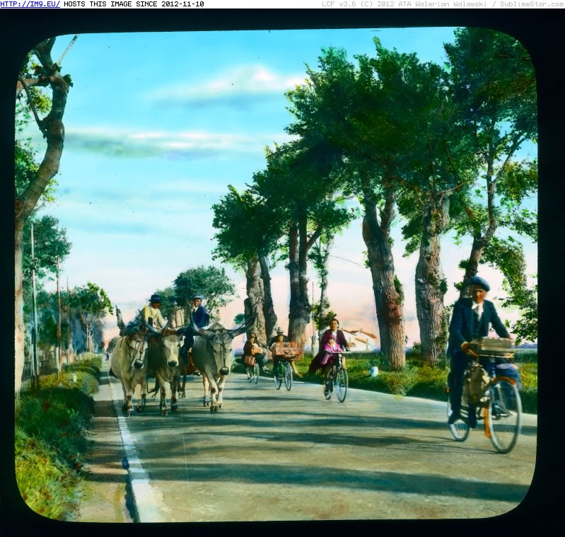 Tuscany (qm) - ox-cart and bicyclists sharing a paved road (1919-1938).3587 (in Branson DeCou Stock Images)