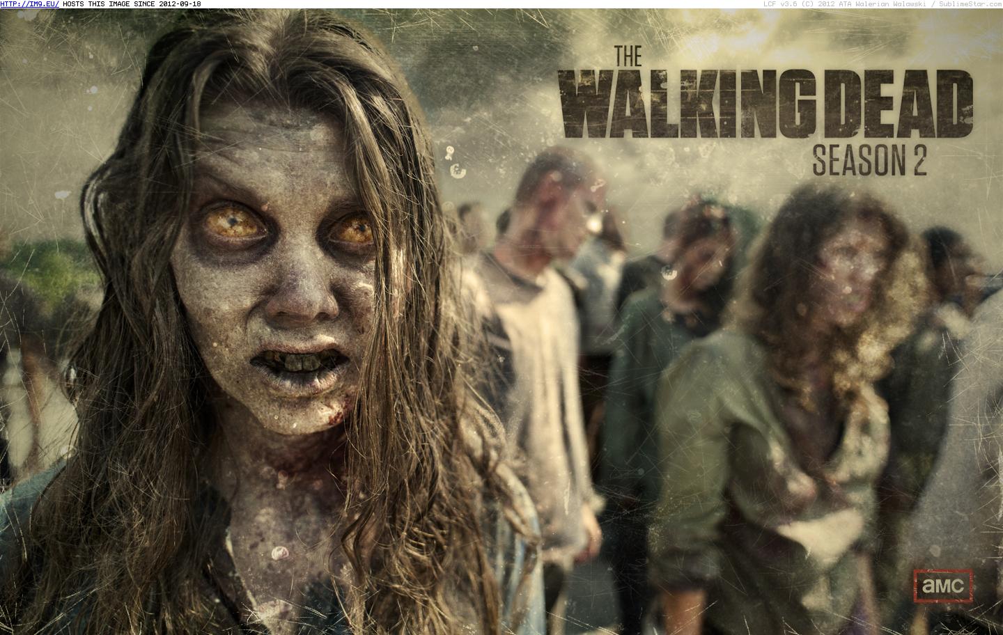 Tv Show The Walking Dead 240933 (in TV Shows HD Wallpapers)