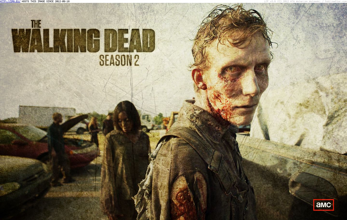 Tv Show The Walking Dead 240936 (in TV Shows HD Wallpapers)