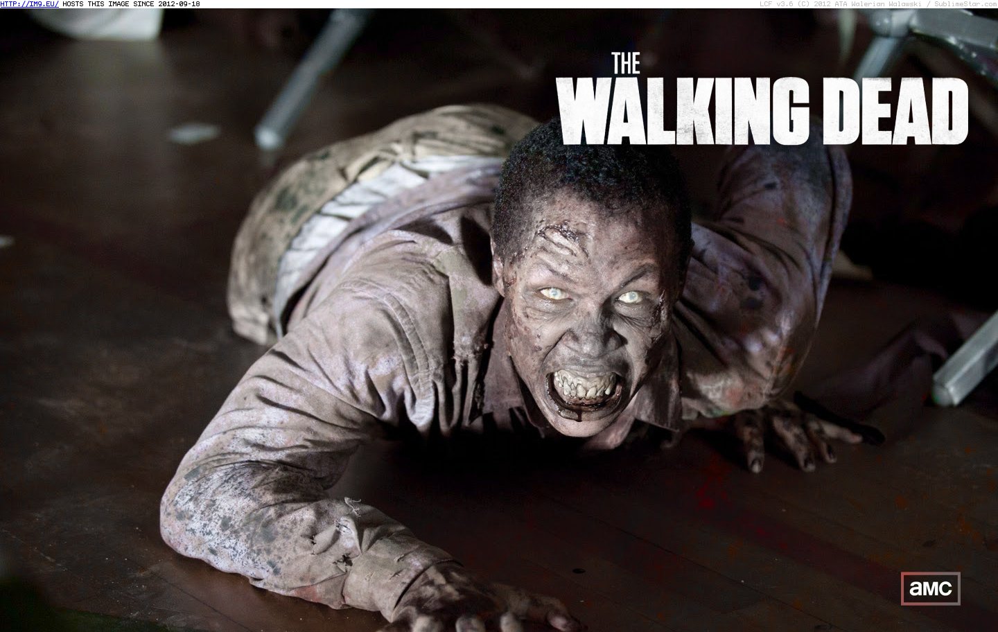 Tv Show The Walking Dead 240938 (in TV Shows HD Wallpapers)