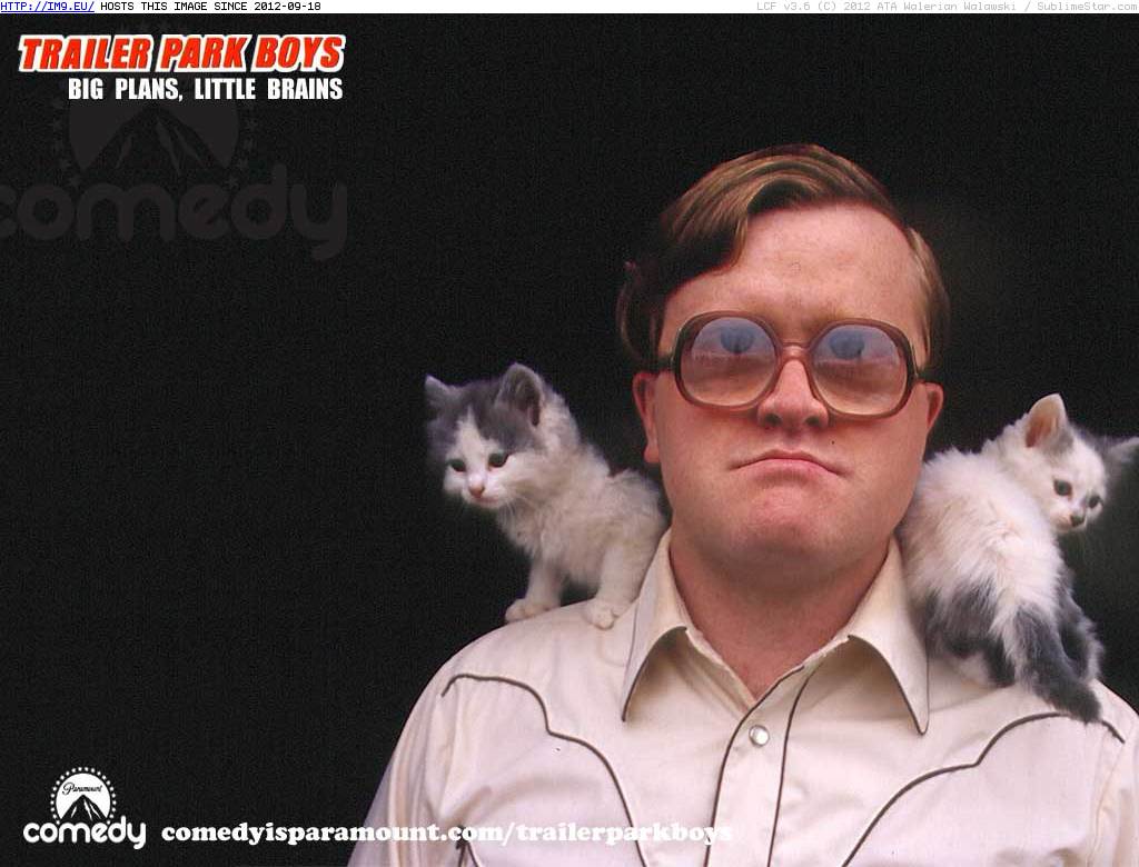 Tv Show Trailer Park Boys 8431 (in TV Shows HD Wallpapers)