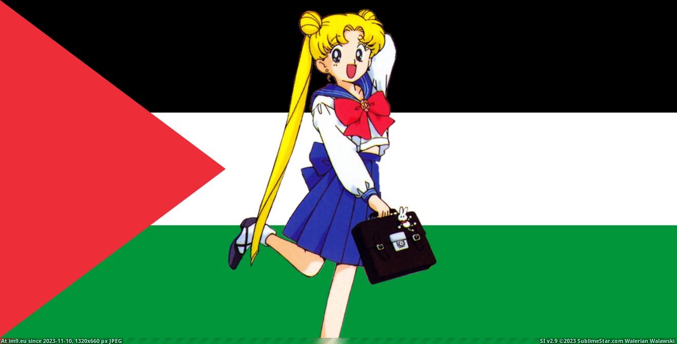 #Flag #Waifu #Palestine usagipalestine Pic. (Obraz z album Your Waifu Supports Palestine))