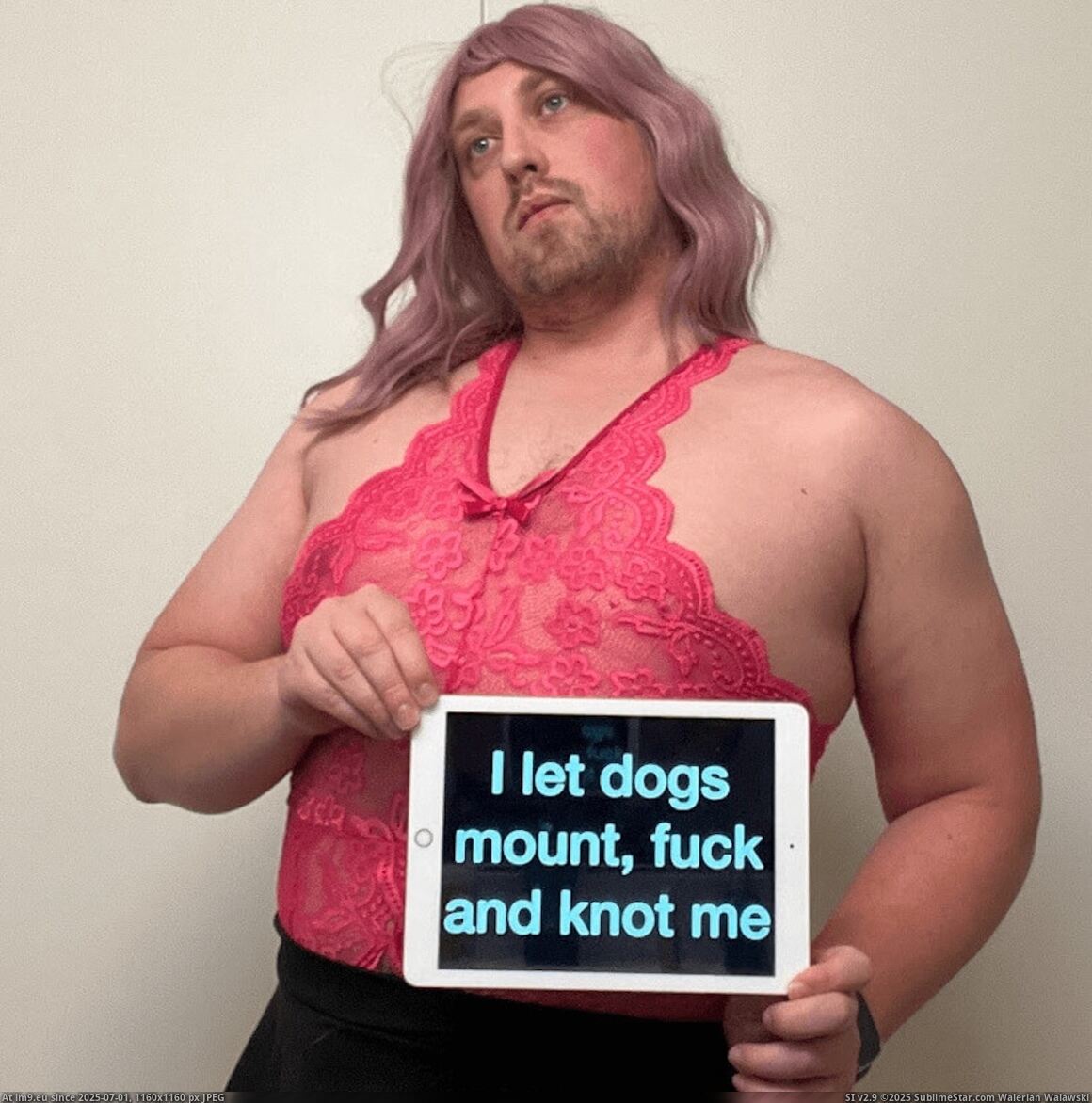 Vallejo Beastiality Webslut and Free Escort Steven Reichenberg (in Vallejo Beastiality with Steven Reichenberg)