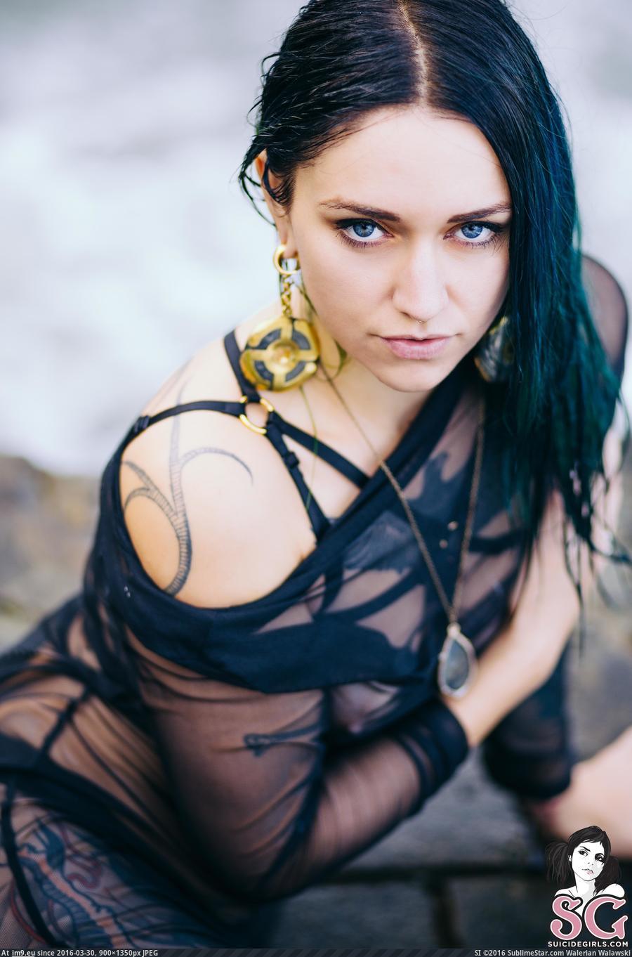 #Porn #Tits #Hot #Emo #Tatoo #Venom #Seahag #Boobs #Softcore #Suicidegirls venom-seahag12 Pic. (Obraz z album SuicideGirlsNow))