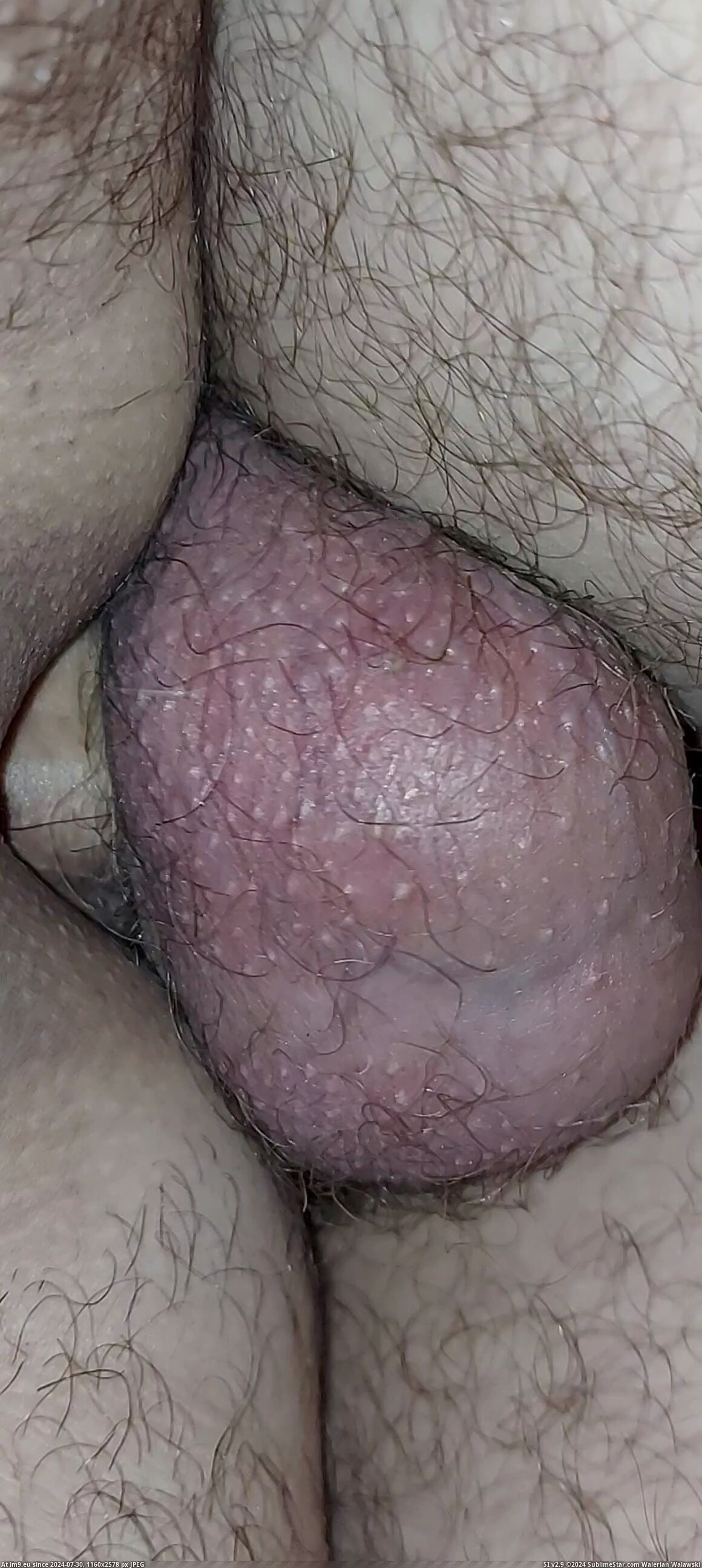 #Gay #Asshole #Fag #Hole #Videocapture #Cock #Dick VideoCapture_20221231-001846 Pic. (Image of album ))