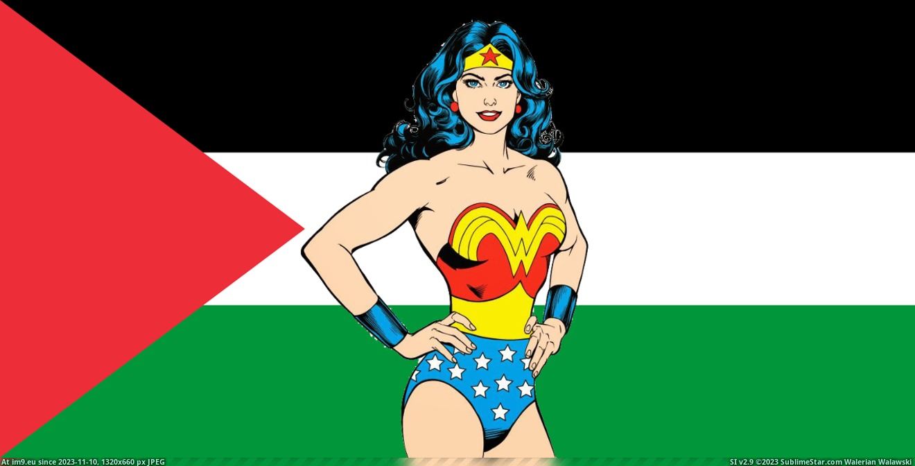 wonderwomanpalestine (in Your Waifu Supports Palestine)