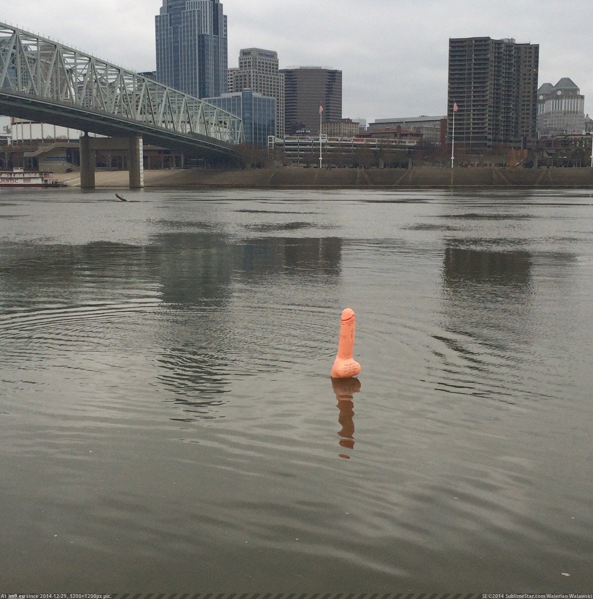[Wtf] A giant penis is floating down the Ohio River right now. (in My r/WTF favs)