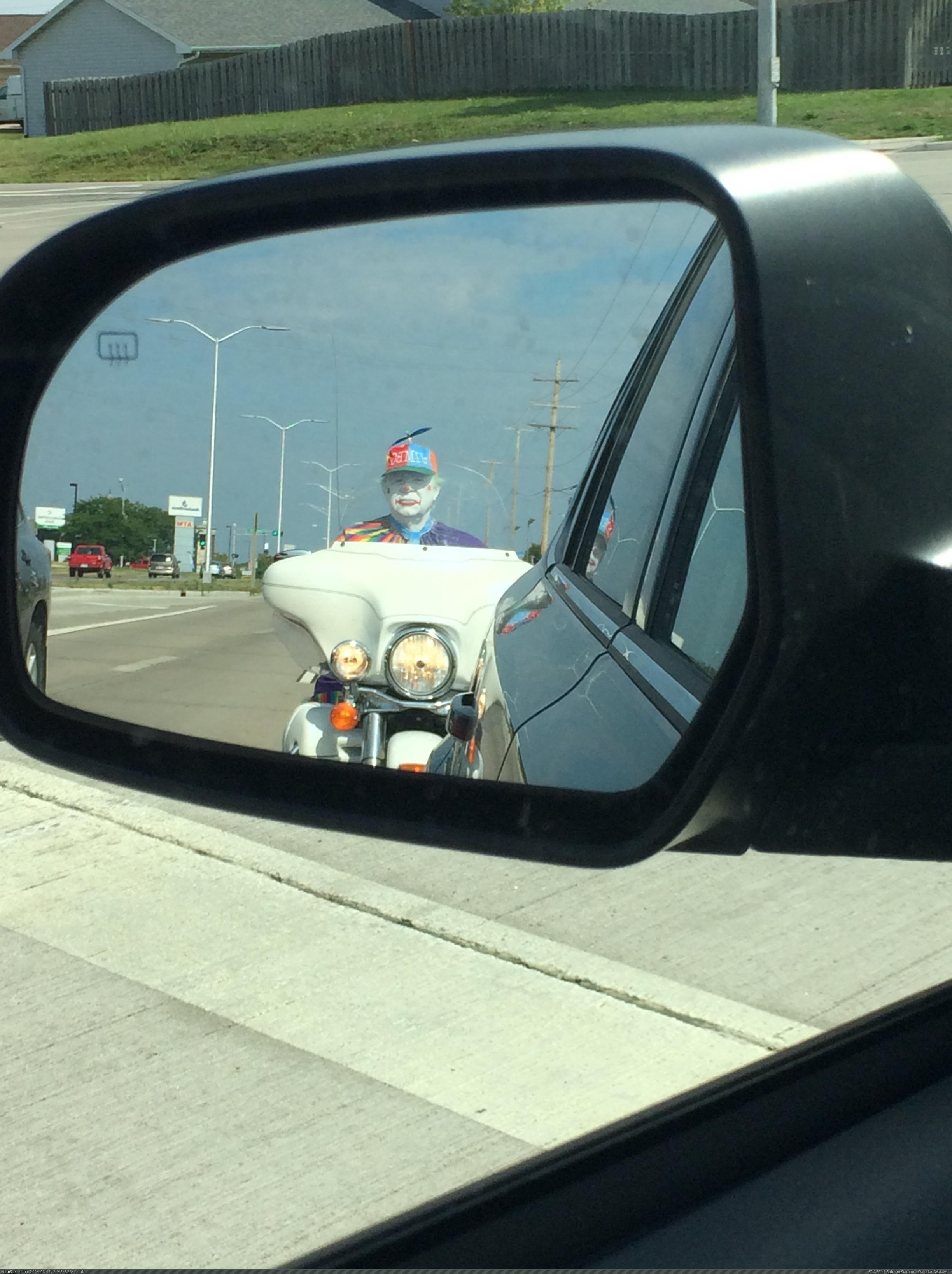 [Wtf] Didn't expect this in the rear view (in My r/WTF favs)
