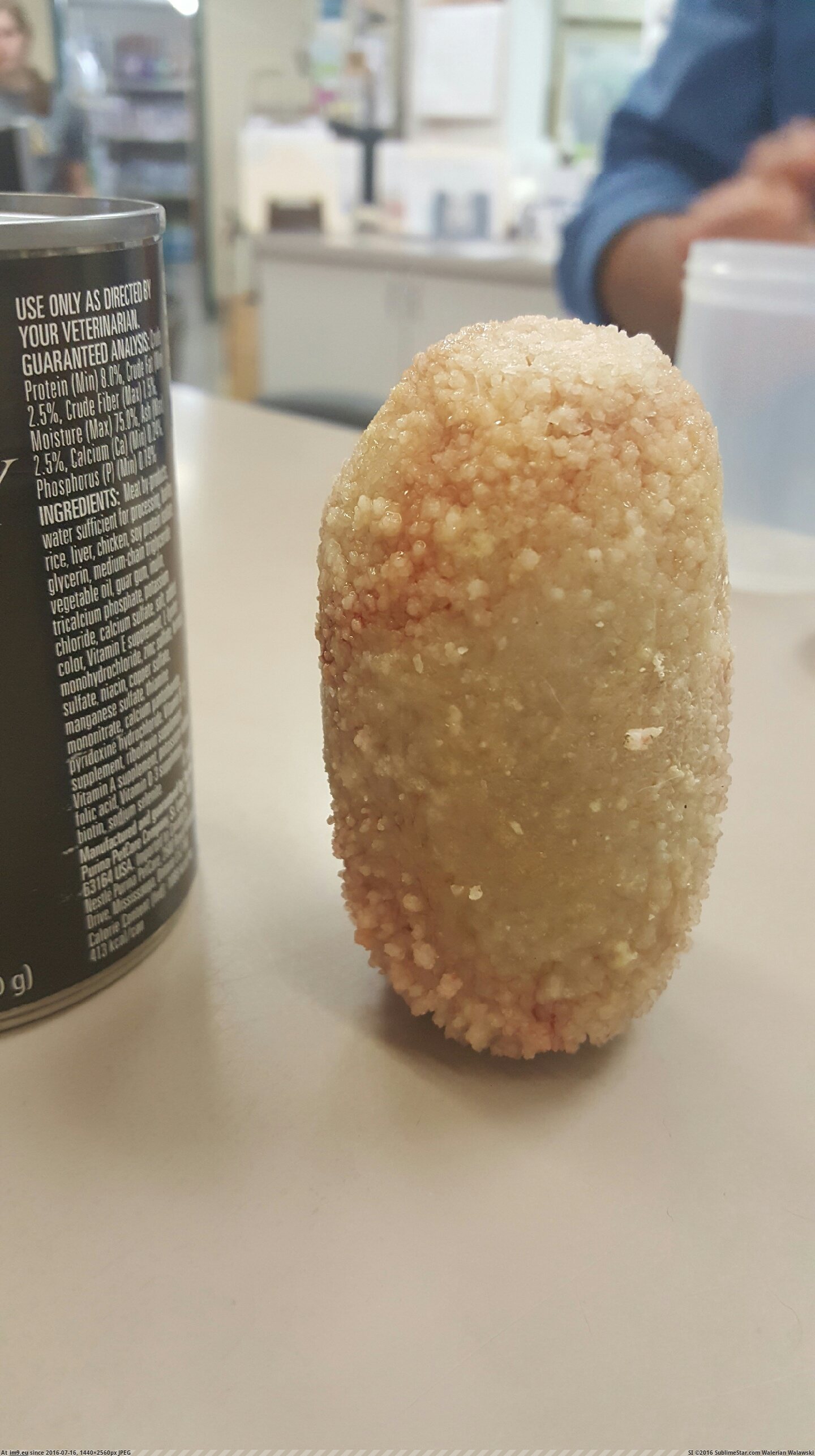[Wtf] Huge rock-like formation removed from my dog's bladder. Vet had no idea what it was or what caused it. (in My r/WTF favs)