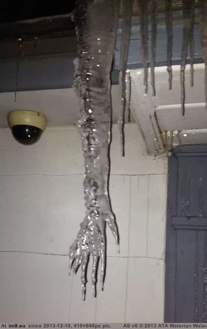 [Wtf] I would be scared walking out my door to see this. (in My r/WTF favs)