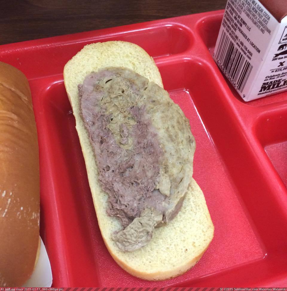 [Wtf] Kid served this for school lunch... that's suppose to be Philly cheesesteak. (teenagers) (in My r/WTF favs)