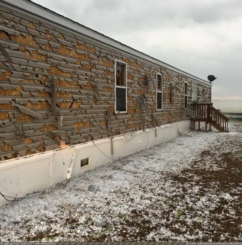 [Wtf] Trailer house vs Hail (in My r/WTF favs)