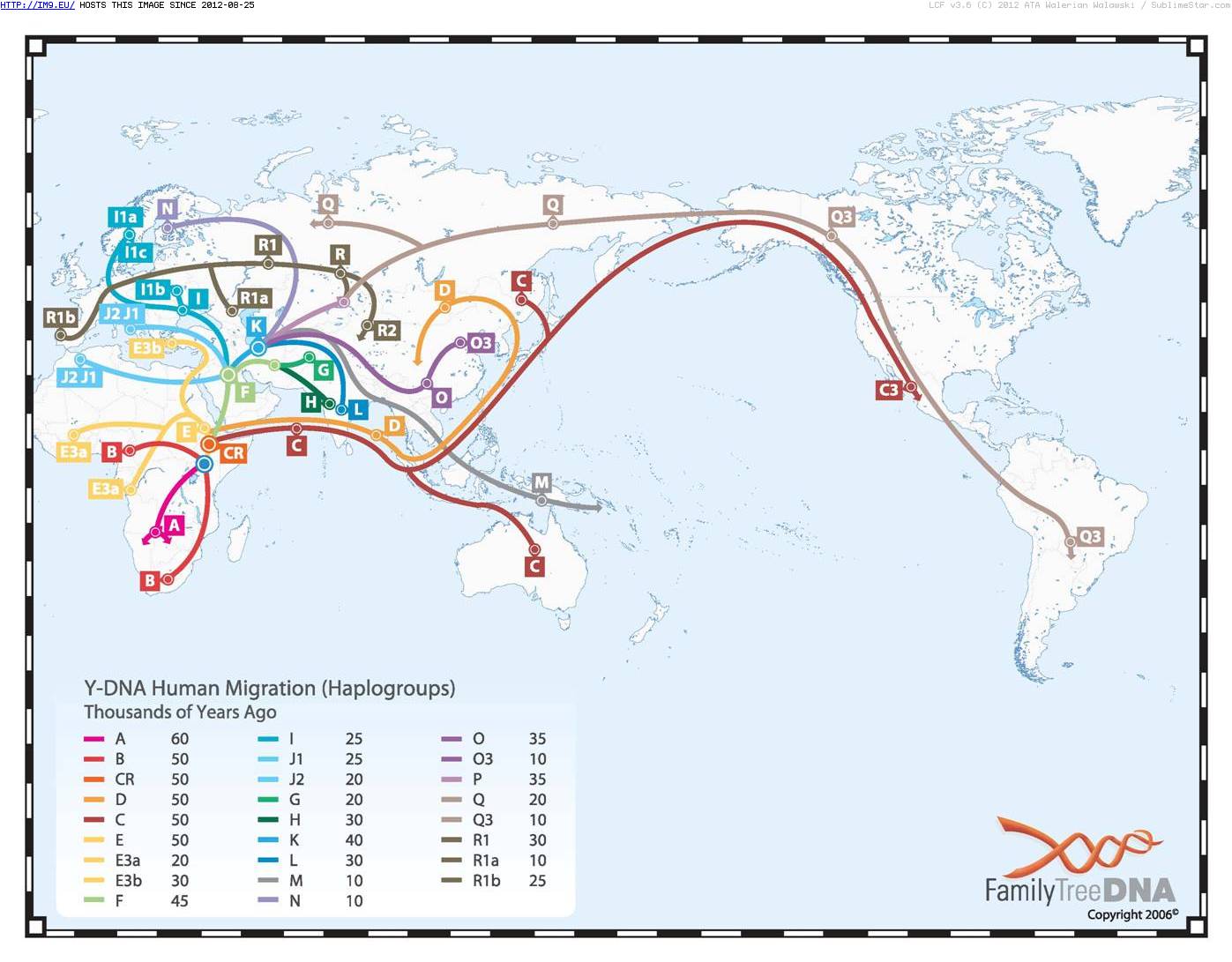 #Human #Migration #Dna Y-DNA Human Migration Pic. (Image of album Mojsze obrazki))
